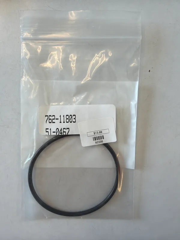 Gasket Sea Strainer
